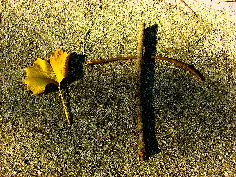 G1630_Your image is the best title ! G1630