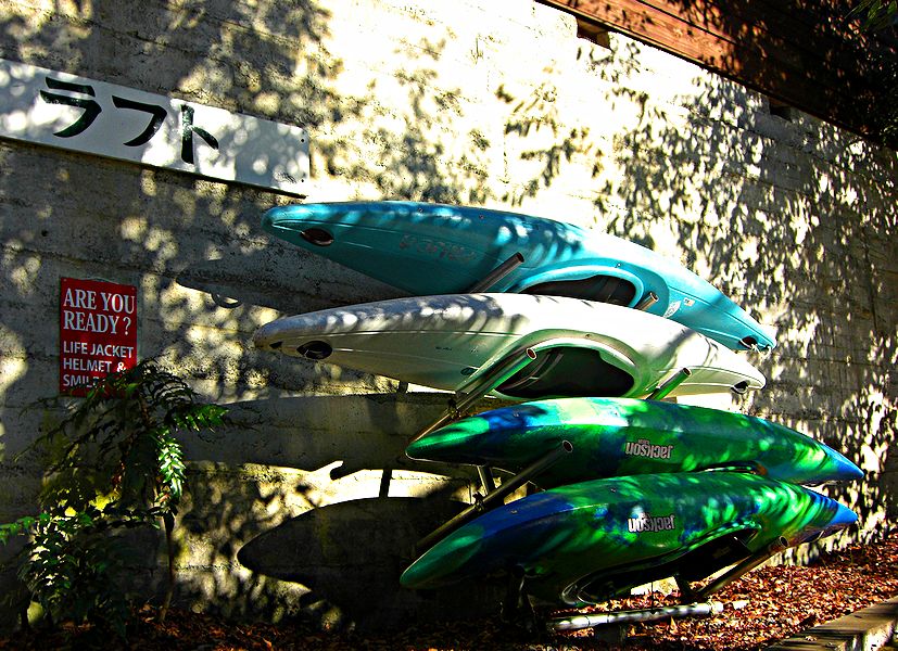 G1664_Your image is the best title ! G1664