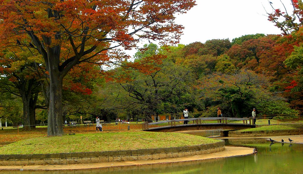 G1802_Your image is the best title ! G1802