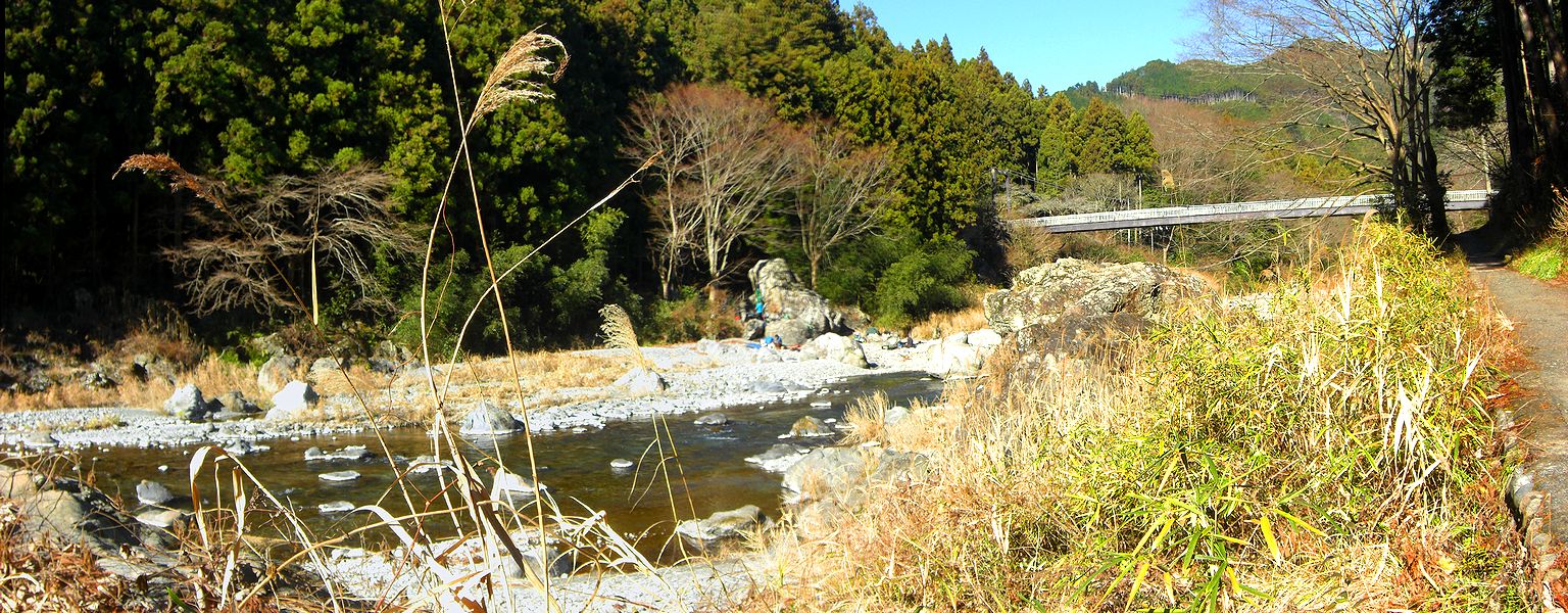 G1822_Your image is the best title ! G1822