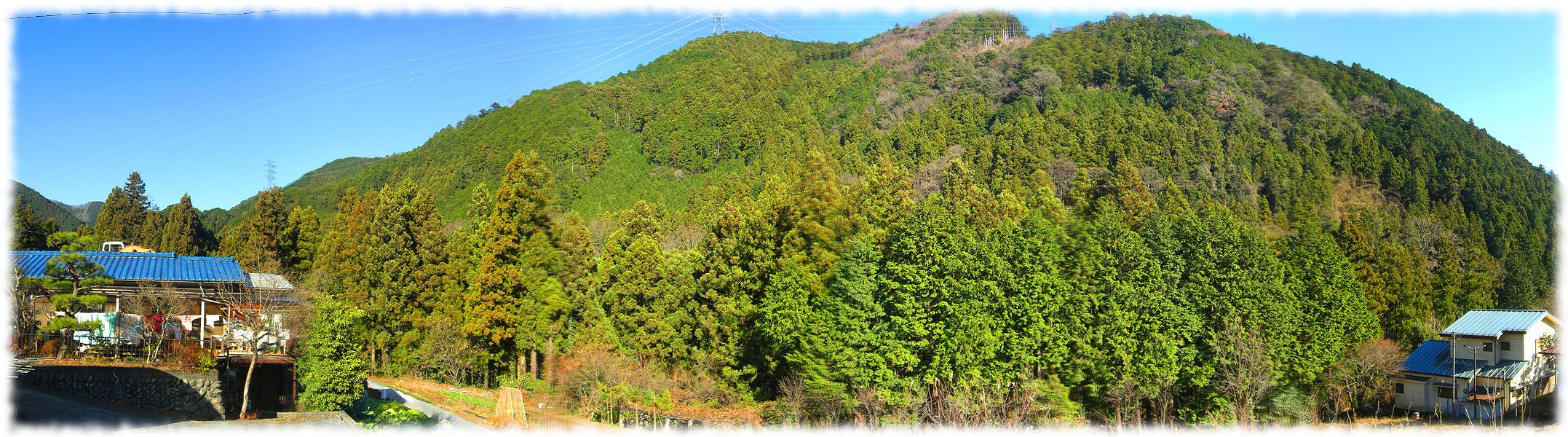G1830_Your image is the best title ! G1830