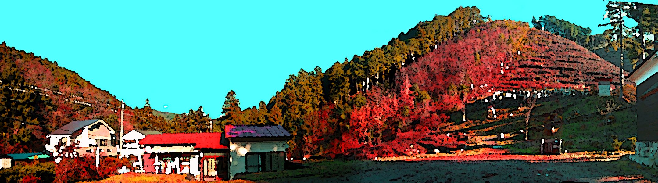 G1833_Your image is the best title ! G1833