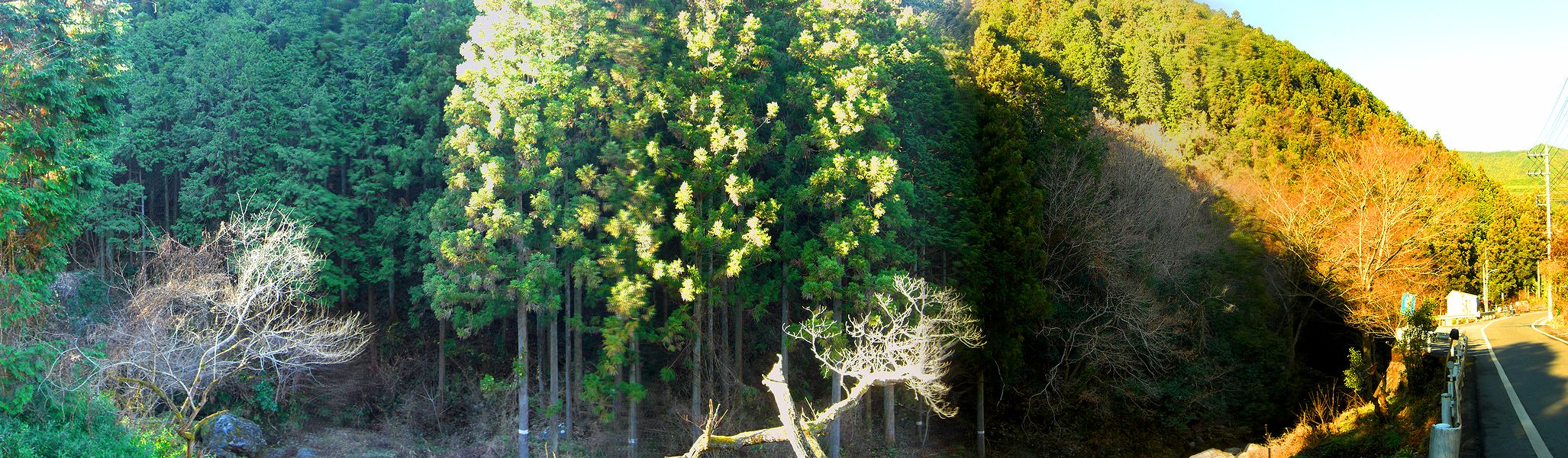 G1834_Your image is the best title ! G1834