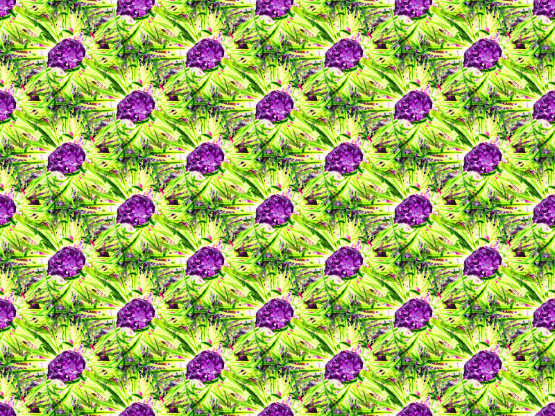 G1899_Your image is the best title ! G1899