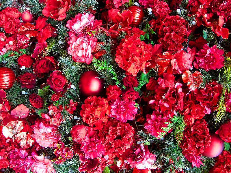 G1976_Your image is the best title ! G1976