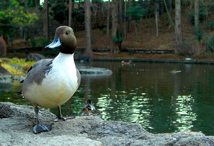 G2058_Your image is the best title ! G2058