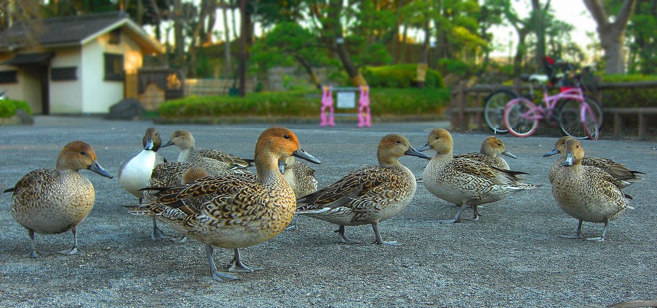G2059_Your image is the best title ! G2059