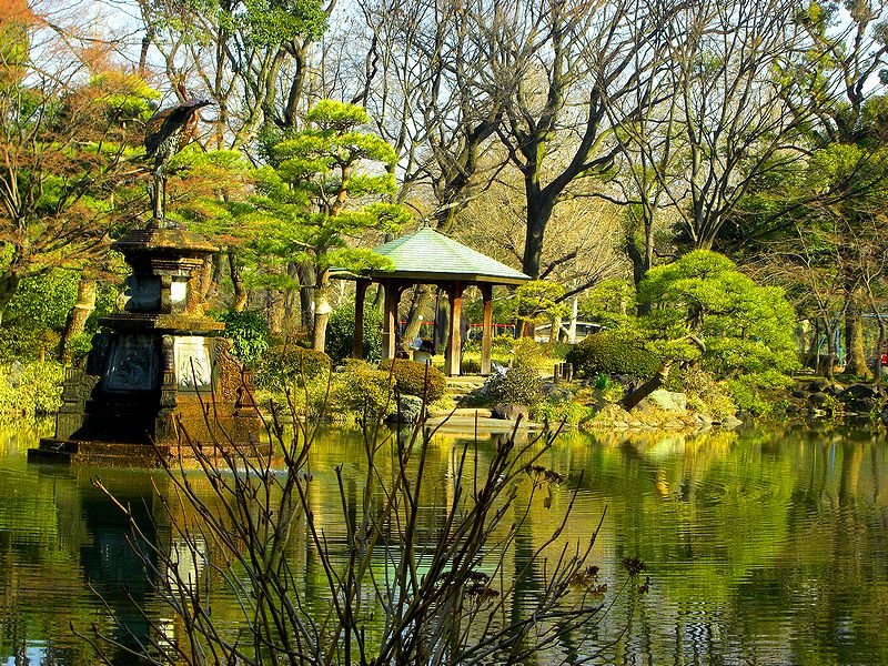 G2063_Your image is the best title ! G2063