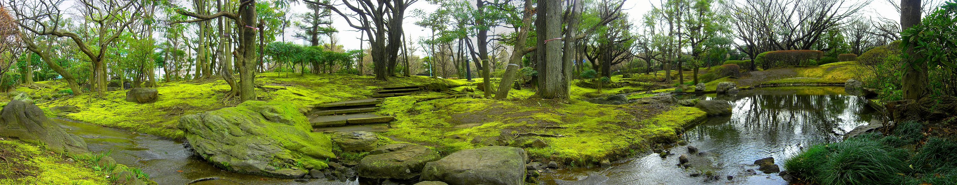 G2124_Your image is the best title ! G2124