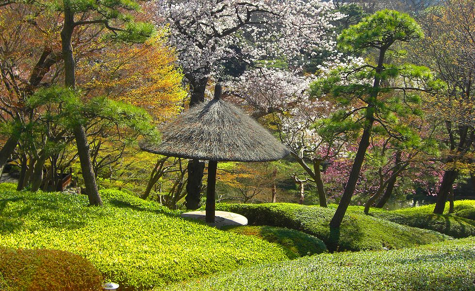G2158_Your image is the best title ! G2158