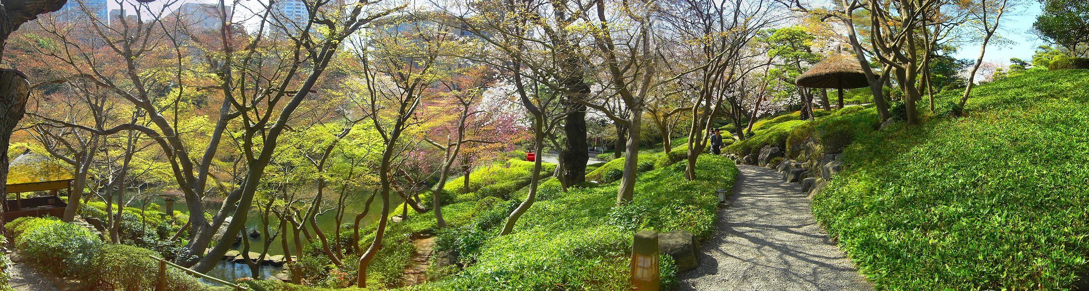 G2161_Your image is the best title ! G2161