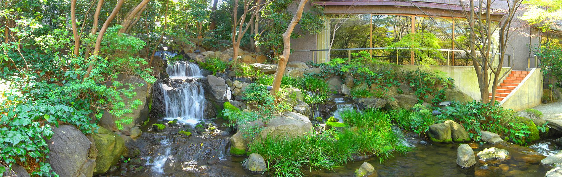 G2169_Your image is the best title ! G2169
