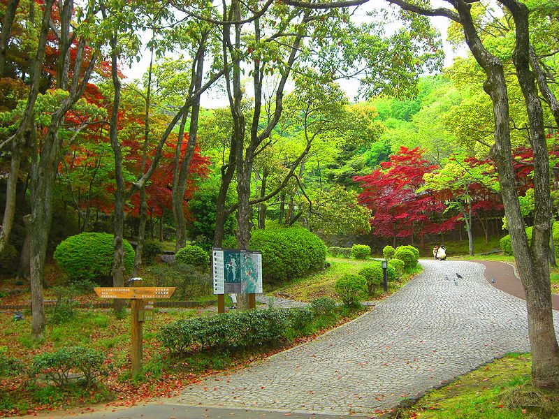 G2207_Your image is the best title ! G2207