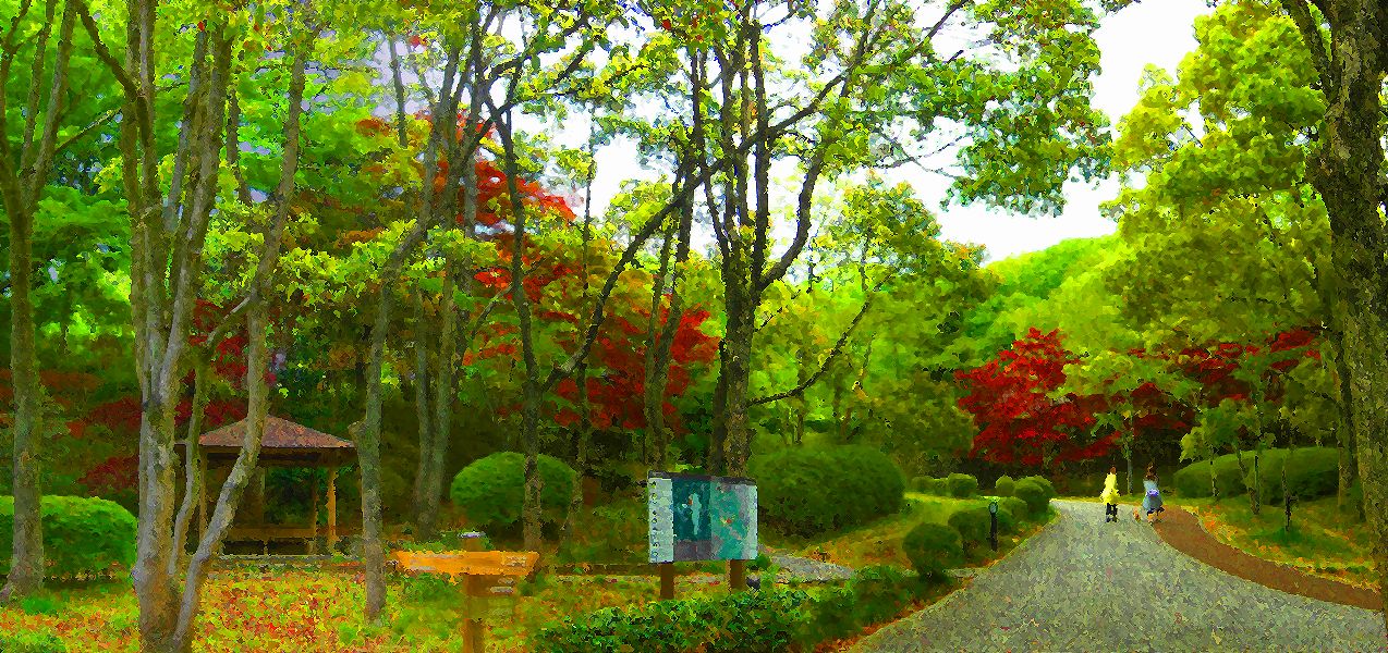 G2208_Your image is the best title ! G2208