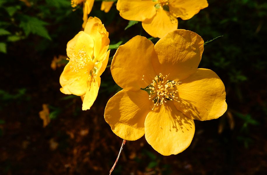 G2254_Your image is the best title ! G2254