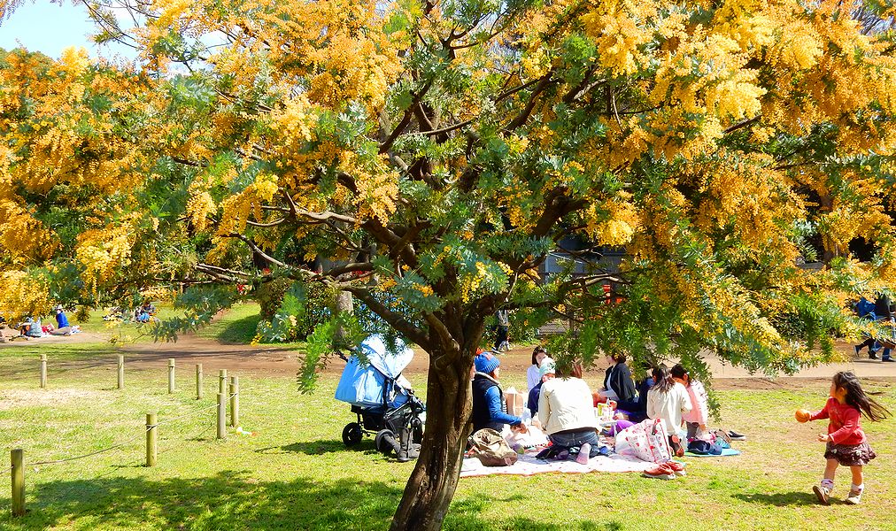 G2274_Your image is the best title ! G2274