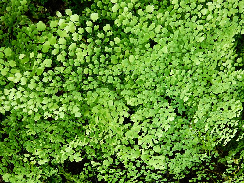 G2292_Your image is the best title ! G2292