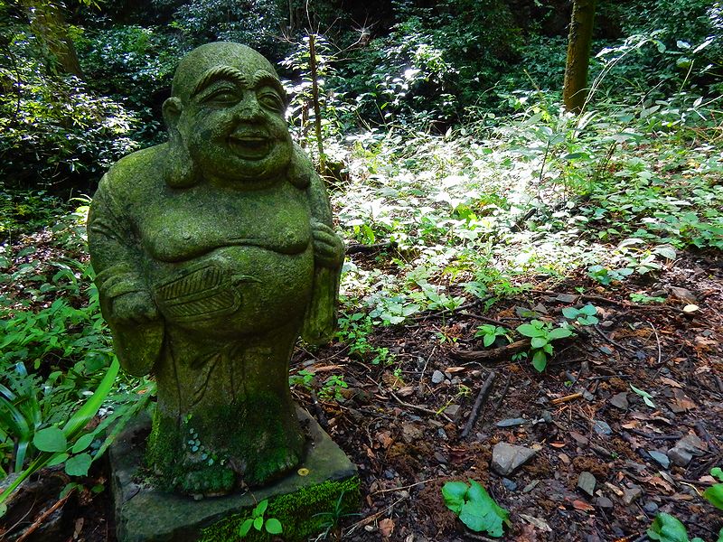 G2753_Your image is the best title ! G2753