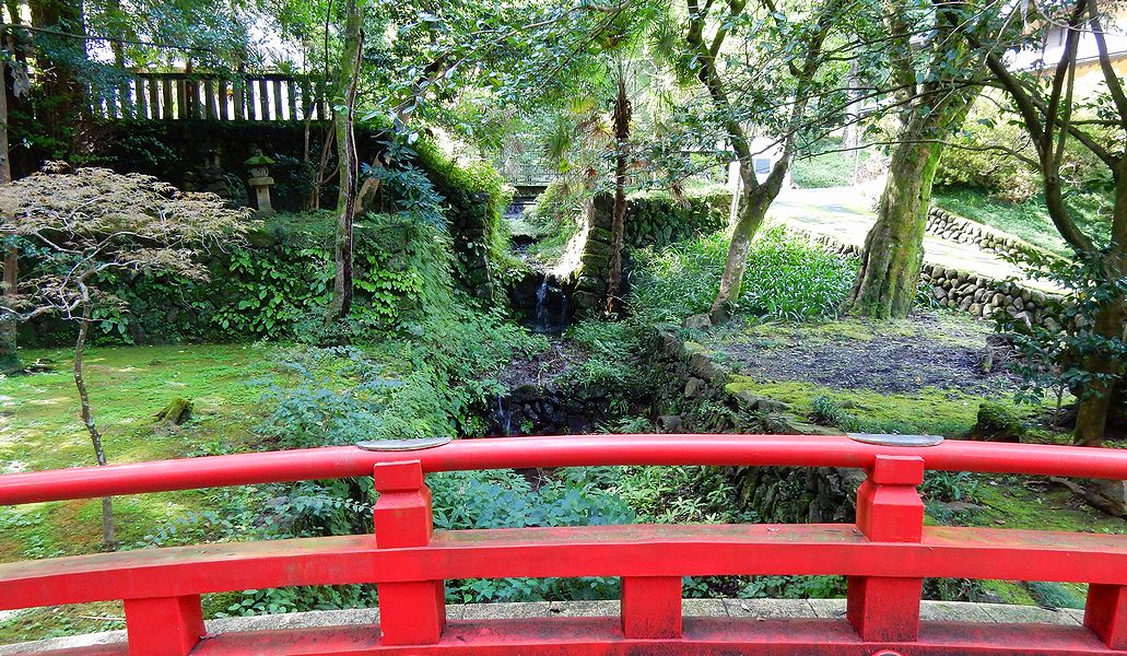 G2779_Your image is the best title ! G2779