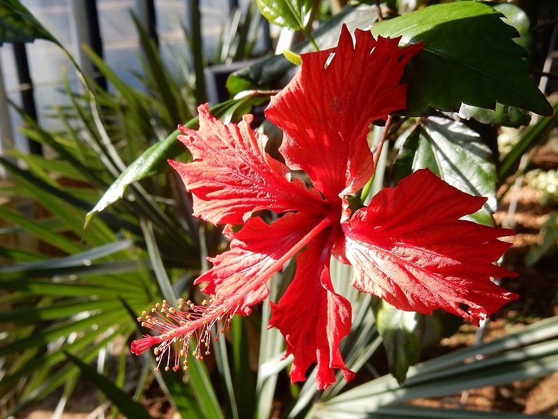 G2804_Your image is the best title ! G2804