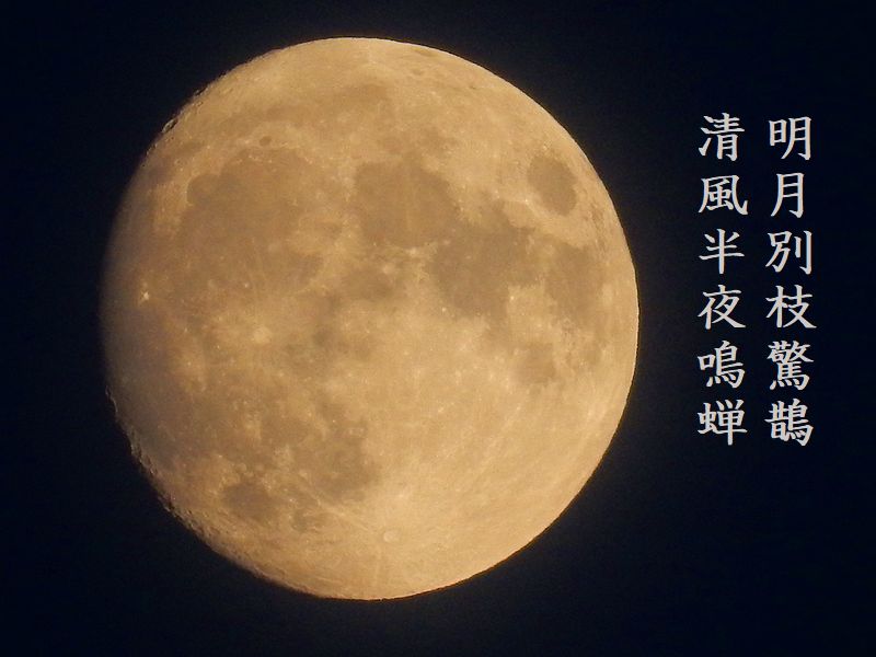 明月別枝驚鵲，清風半夜鳴蝉