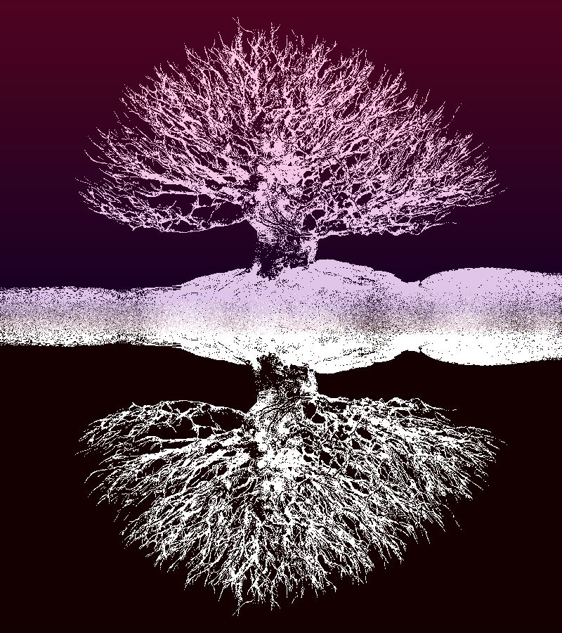 樹と根