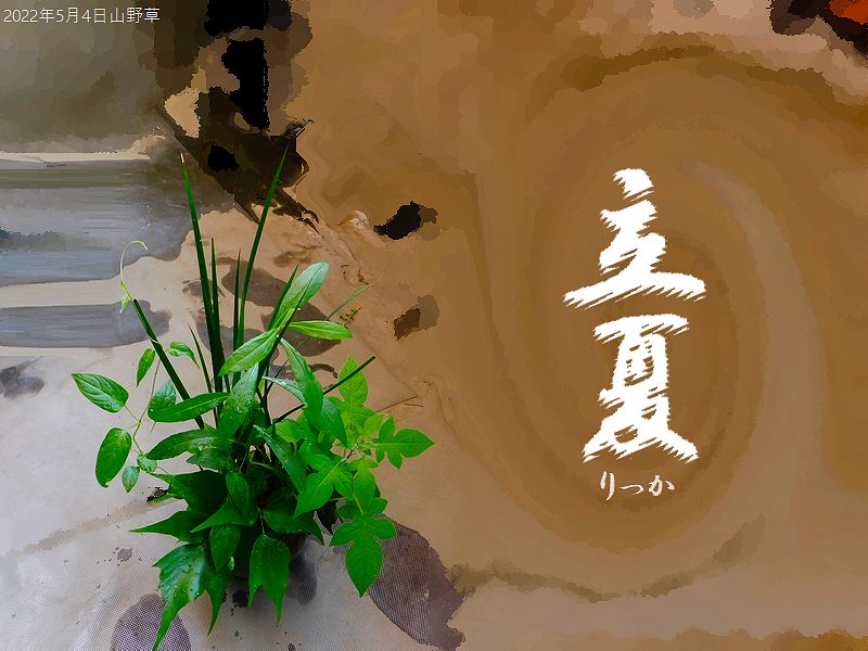 立夏