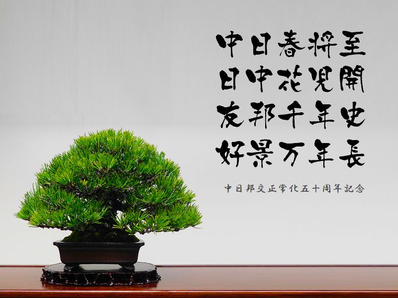 日中国交正常化50周年記念
