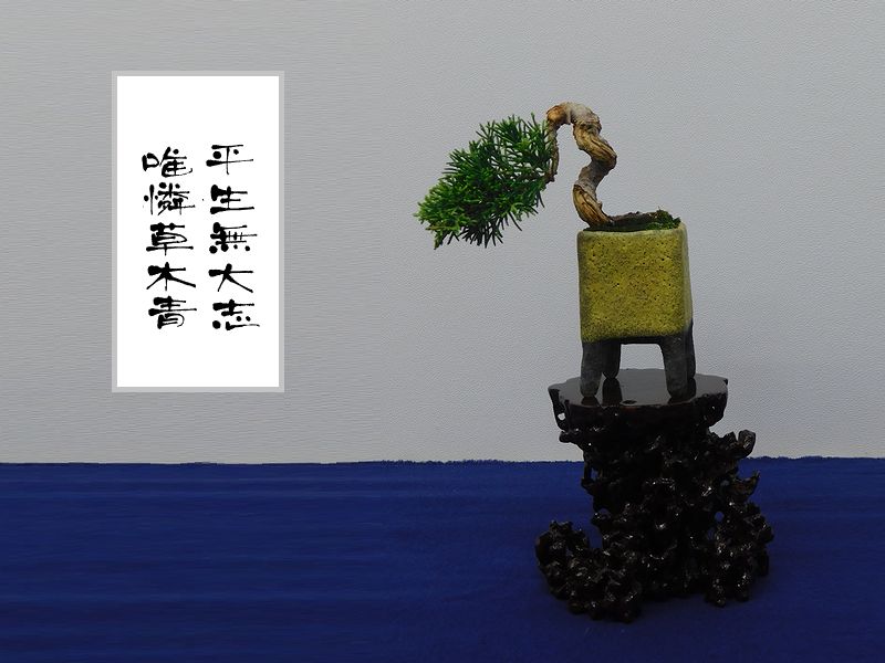 平生無大志、唯憐草木青
