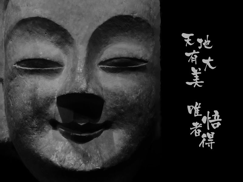 天地有大美、唯悟者得