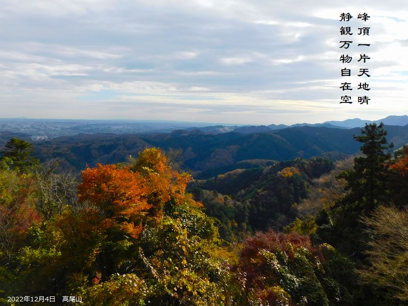 峰頂一片天地晴，静観万物自在空