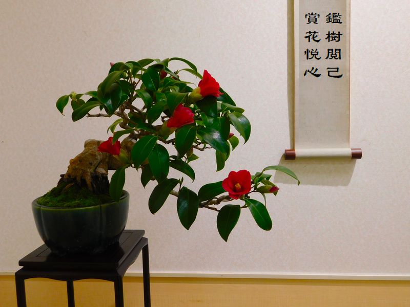 鑑樹閲己，賞花悦心