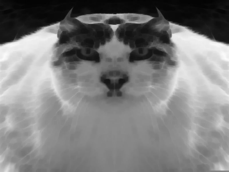 猫相撲