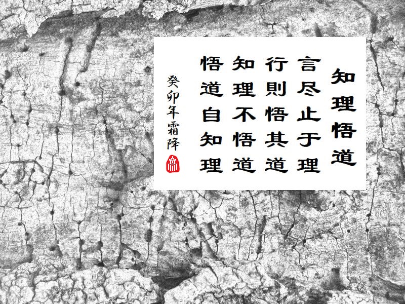 知理悟道 言尽止于理，行則悟其道，知理不悟道，悟道自知理