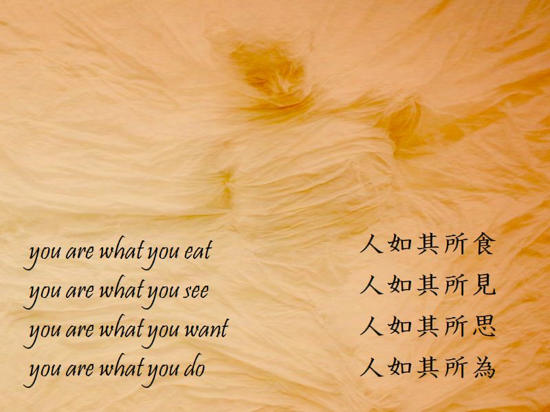 人如其所食，人如其所見，人如其所思，人如其所為