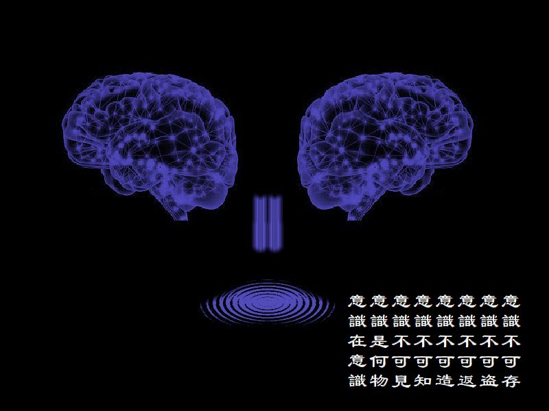 意識不可存，意識不可盗，意識不可返，意識不可造，意識不可知，意識不可見，意識是何物，意識在意識