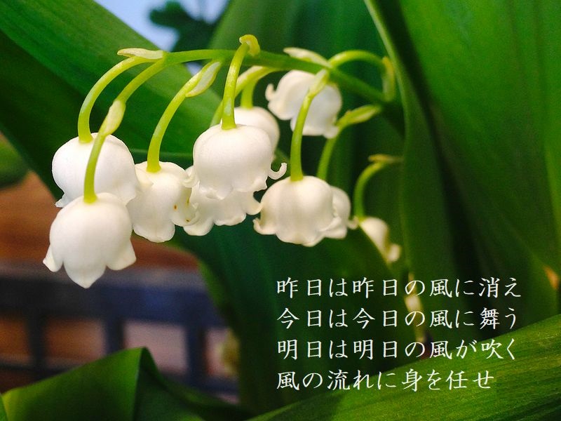 昨日は昨日の風に消え，今日は今日の風に舞う，明日は明日の風が吹く，風の流れに身を任せ