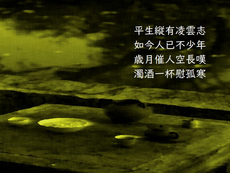 平生縦有凌雲志，如今人已不少年，歳月催人空長嘆，濁酒一杯慰孤寒