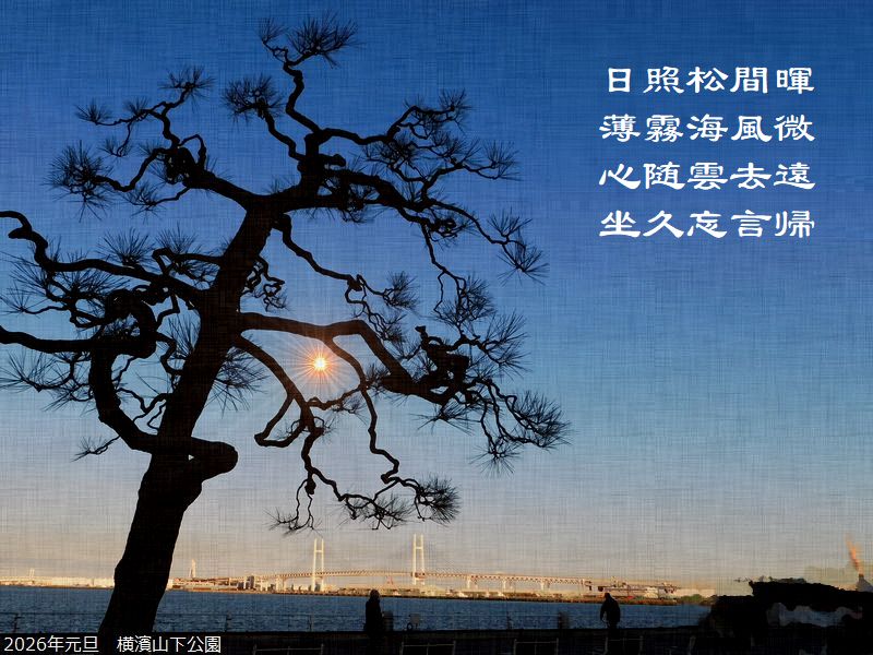 日照松間暉，薄霧海風微，心随雲去遠，坐久忘言帰
