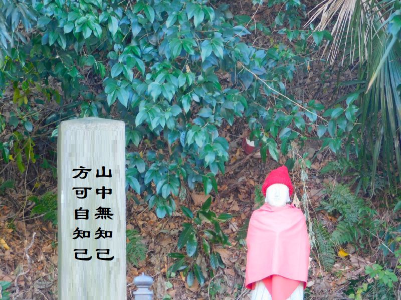 山中無知己，方可自知己