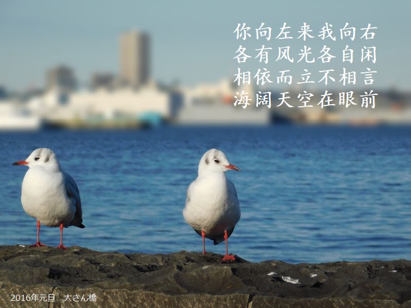 你向左来我向右，各有风光各自闲，相依而立不相言，海阔天空在眼前