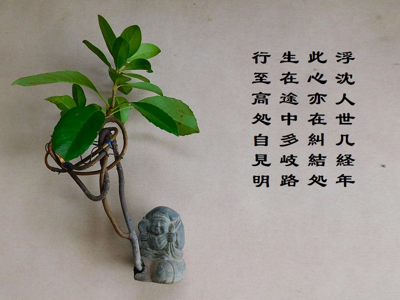 浮沈人世几経年，此心亦在糾結処，生在途中多岐路，行至高処自見明