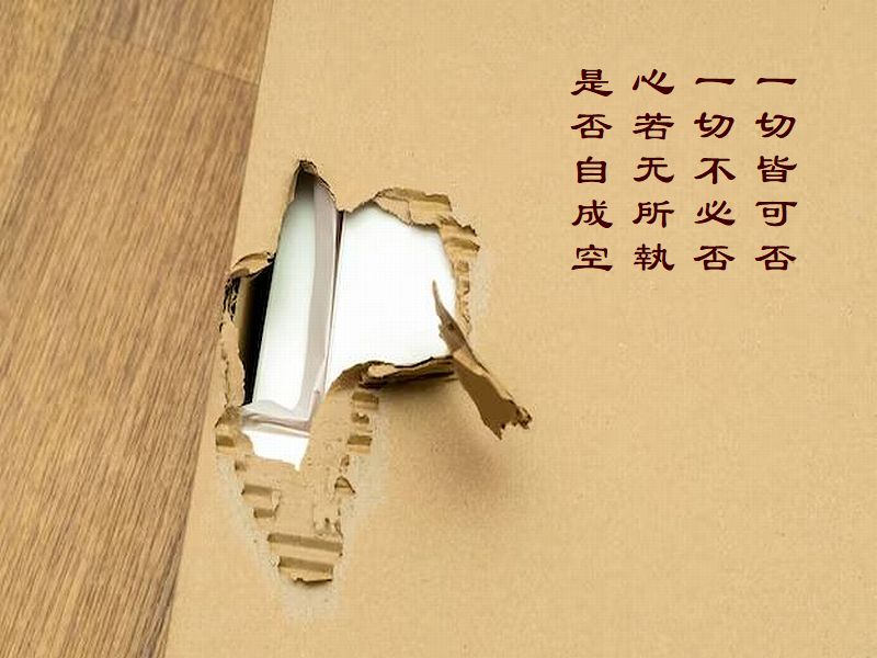 一切皆可否,一切不必否,心若无所執,是否自成空