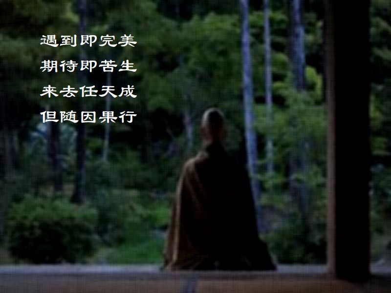 遇到即完美,期待即苦生,来去任天成,但随因果行