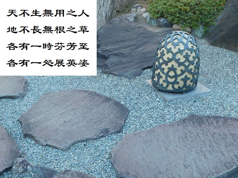 天不生無用之人,地不長無根之草,各有一時芬芳至,各有一処展英姿