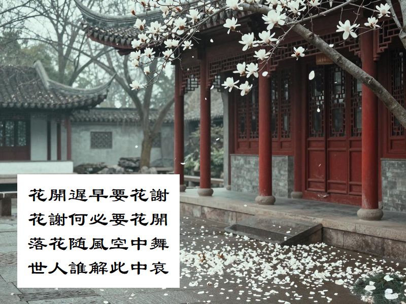 花開遅早要花謝，花謝何必要花開，落花随風空中舞，世人誰解此中哀