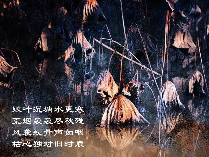 敗葉沈塘水更寒，荒烟嫋嫋尽秋残，風襲残骨声如嚥，枯心独対旧時痕
