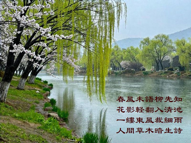 春風未語柳先知，花影軽翻入清池，一縷東風裁細雨，人間草木暗生詩